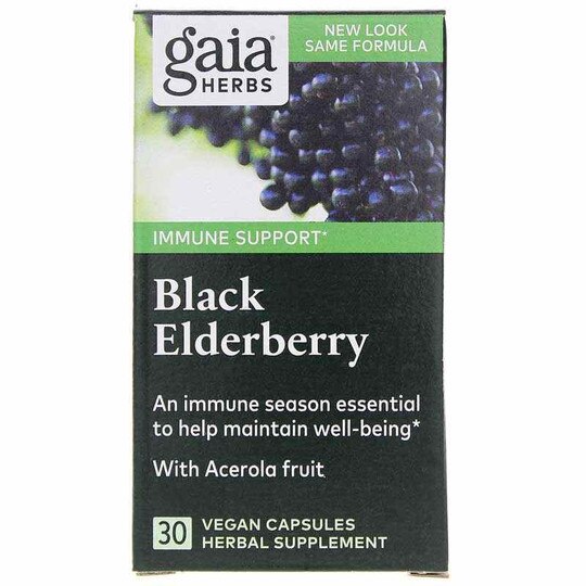 Black Elderberry, GH